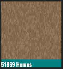 51869 Humus